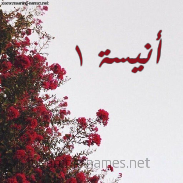 شكل 18 صوره الورد الأحمر للإسم بخط رقعة صورة اسم أنيسة 1 anissa